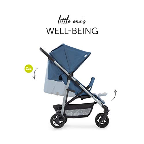 Hauck Rapid 4 Silla deportiva con respaldo reclinable para Bebés, desde nacimiento hasta 15 kg/4 años, Capacidad de carga 25 kg, Azul (Denim/Grey)