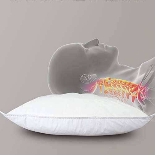 JKL J-Almohada Almohada del alforfón de la vértebra Cervical del Adulto, Almohada casera del sueño del Hotel (Sola) los 48 * 74cm