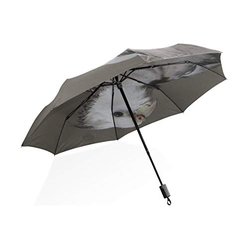 Kids Umbrella Folding Cockatiel Birds Animal Animal World Birdie Windproof Compact Umbrella Kids Rain & Wind Resistant Compact and Lightweight For Business and Travels