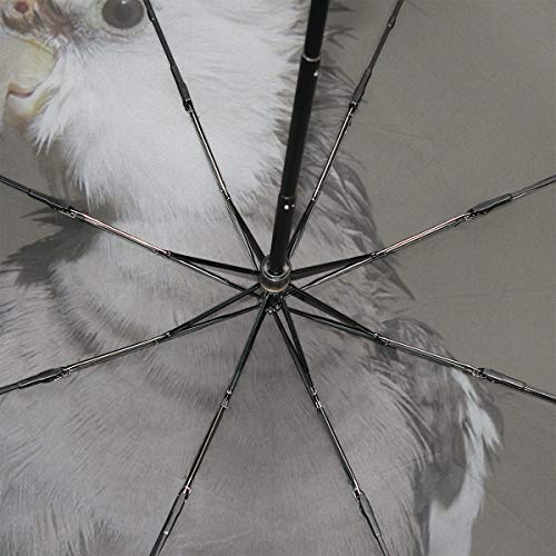 Kids Umbrella Folding Cockatiel Birds Animal Animal World Birdie Windproof Compact Umbrella Kids Rain & Wind Resistant Compact and Lightweight For Business and Travels
