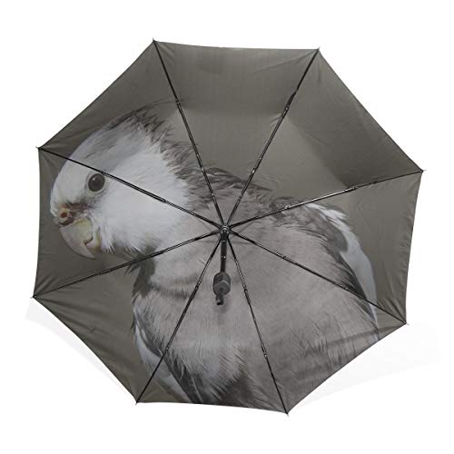 Kids Umbrella Folding Cockatiel Birds Animal Animal World Birdie Windproof Compact Umbrella Kids Rain & Wind Resistant Compact and Lightweight For Business and Travels