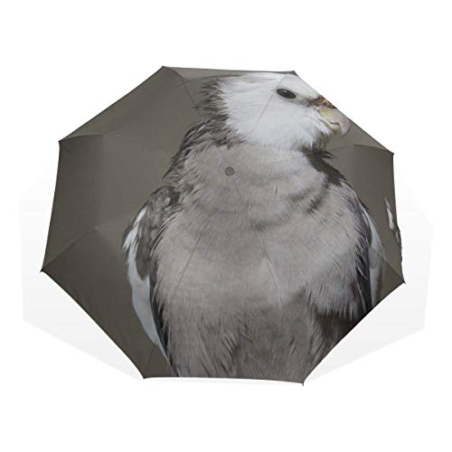Kids Umbrella Folding Cockatiel Birds Animal Animal World Birdie Windproof Compact Umbrella Kids Rain & Wind Resistant Compact and Lightweight For Business and Travels