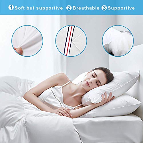 KLAS REMO Almohada Fibra, Almohada de 48x74 cm Almohada con Funda 100% Algodón Almohada Firmeza Media/Baja Almohada Hotel- 1 Unidad
