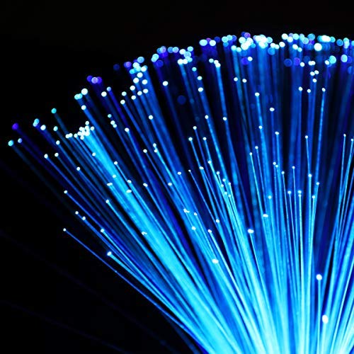 LEDMOMO Color de la lámpara de fibra óptica que cambia la luz de la fibra óptica Fuente de la fibra con pilas Luz de la noche