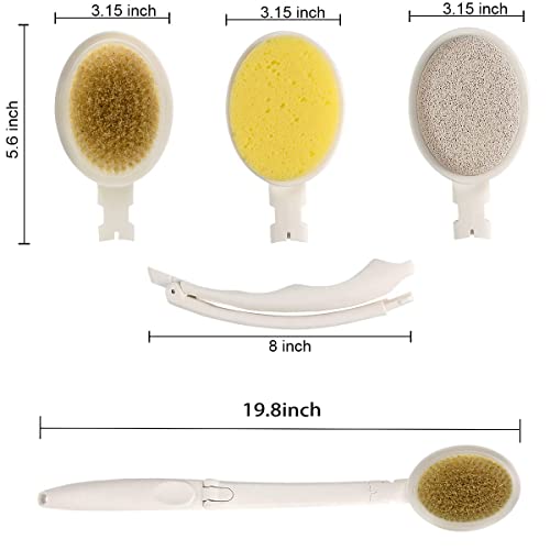 LFJ Cepillo Espalda Ducha 3 en 1 Cuerpo Esponja con Mango Largo Cerdas Naturales Rígidas Cepillo en Seco Piedra Pómez Exfoliación Lavador de Espalda para Masaje