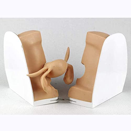 LHMYHHH Útero Femenino Modo de demostración del Anillo Superior, Genitales Modelo anatómico Planificación Familiar Modelo de Cuerpo Humano, Ginecología Práctica médica Modelo de Entrenamiento