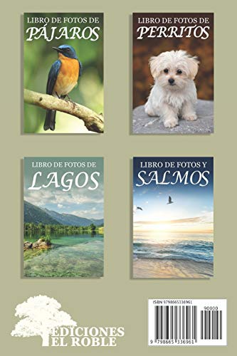 Libro de Fotos de Mariposas: Ayuda para Personas Mayores con Demencia o Alzheimer (Libros que Facilitan la Lectura a Personas con Demencia)