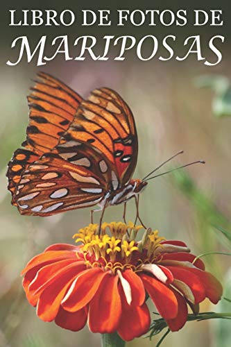 Libro de Fotos de Mariposas: Ayuda para Personas Mayores con Demencia o Alzheimer (Libros que Facilitan la Lectura a Personas con Demencia)