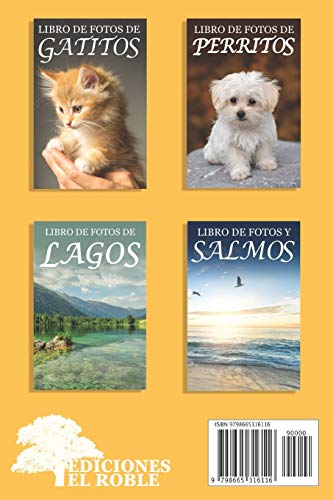 Libro de Fotos de Pájaros: Ayuda para Personas Mayores con Demencia o Alzheimer: 7 (Libros que Facilitan la Lectura a Personas con Demencia)