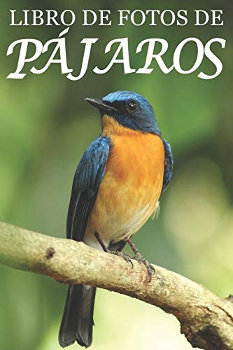 Libro de Fotos de Pájaros: Ayuda para Personas Mayores con Demencia o Alzheimer: 7 (Libros que Facilitan la Lectura a Personas con Demencia)