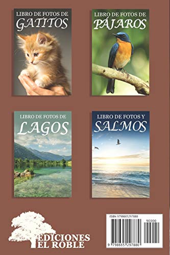 Libro de Fotos de Perritos: Ayuda para Personas Mayores con Demencia o Alzheimer (Libros que Facilitan la Lectura a Personas con Demencia)