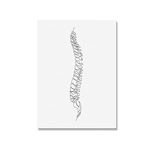 Lienzo de quiropráctica con impresión de vértebras de columna abstracta, arte de pared médico mínimo, póster impreso, imágenes de regalo para decoración del hogar, 50x70 cm x1 sin marco