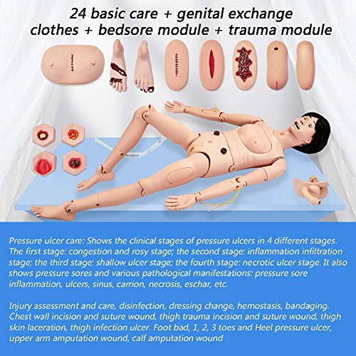 Maniquí de entrenamiento de habilidades de enfermería Maniquí médico de atención al paciente con módulos intercambiables de genitales y escaras y módulos de trauma para entrenamiento médico de enfer