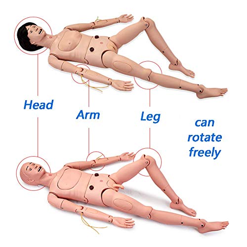Maniquí de entrenamiento de habilidades de enfermería Maniquí médico de atención al paciente con módulos intercambiables de genitales y escaras y módulos de trauma para entrenamiento médico de enfer