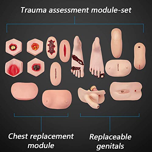 Maniquí de entrenamiento de habilidades de enfermería Maniquí médico de atención al paciente con módulos intercambiables de genitales y escaras y módulos de trauma para entrenamiento médico de enfer