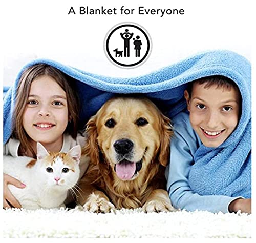 Manta de Tiro de Sherpa con Estampado Orugas y polillas Manta Pelo Súper Suaves y Cálidas Manta Peluche Franela de Doble Cara para Cama, sofá y Viaje y Acampar 150X200CM