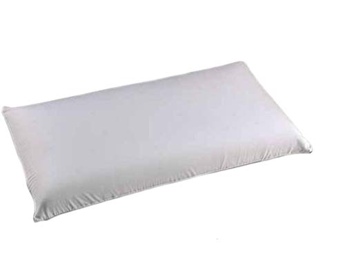 MICAMAMELLAMA Almohada VISCOELASTICA 100% - Antiácaros y Antibacterias - Tejido Aloe Vera - Doble Funda con Cremallera - Ergonomica - 70cm
