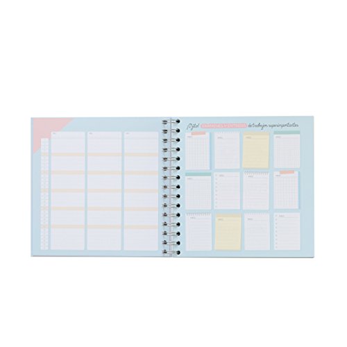 Mr. Wonderful Planificador de Estudio-Mi Master Plan para Que Este Curso salga Genial, Multicolor, 0