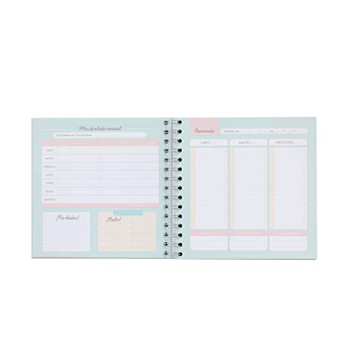 Mr. Wonderful Planificador de Estudio-Mi Master Plan para Que Este Curso salga Genial, Multicolor, 0