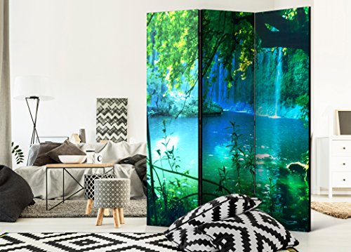 murando - Biombo - 135x172 cm de Impresion Unilateral en el Lienzo de TNT Decoracion Cuarto - Biombo de Madera con Imagen Impresa - c-B-0132-z-b