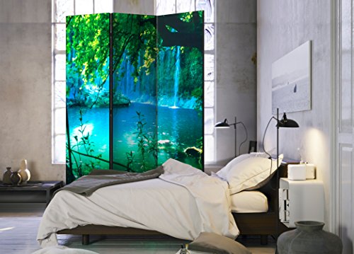 murando - Biombo - 135x172 cm de Impresion Unilateral en el Lienzo de TNT Decoracion Cuarto - Biombo de Madera con Imagen Impresa - c-B-0132-z-b