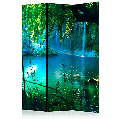 murando - Biombo - 135x172 cm de Impresion Unilateral en el Lienzo de TNT Decoracion Cuarto - Biombo de Madera con Imagen Impresa - c-B-0132-z-b
