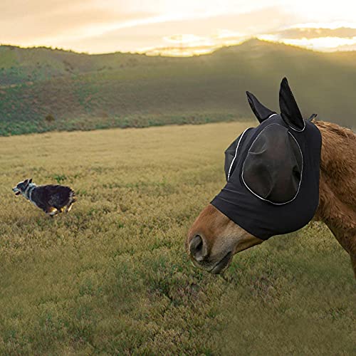 NQ-ChongTian Máscara de mosca de caballo, transpirable, cabeza de caballo, burro, repelente de mosquitos, protección para caballos con úlceras, lesiones en la cabeza