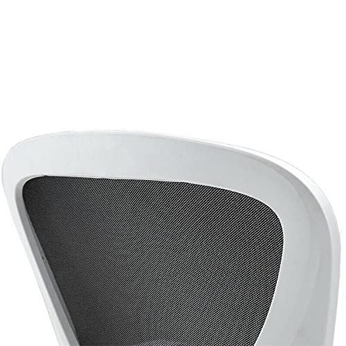 OF TLV-AM-OC32-BLACK Silla de Oficina con Soporte Lumbar Giratoria Escritorio 5 Ruedas Despacho, Blanco-Negro, Universal