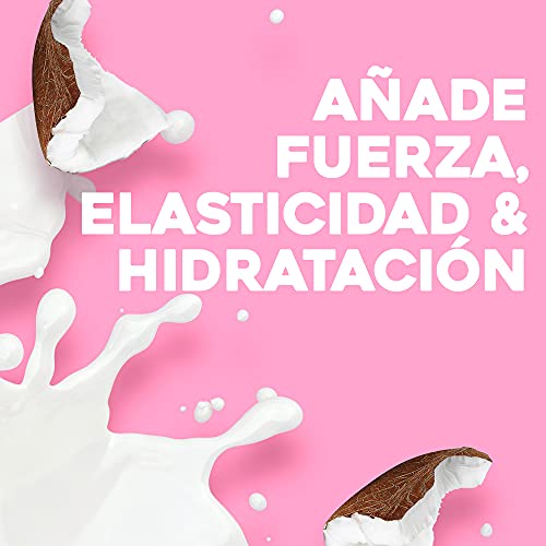 OGX Champú Leche de Coco, Pelo Seco, Elasticidad & Hidratacion, 385 ml