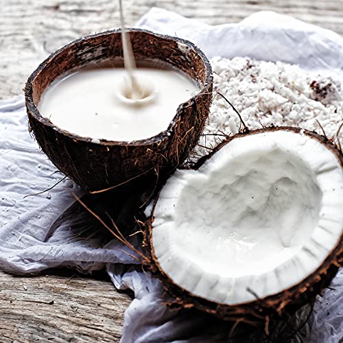 OGX Champú Leche de Coco, Pelo Seco, Elasticidad & Hidratacion, 385 ml