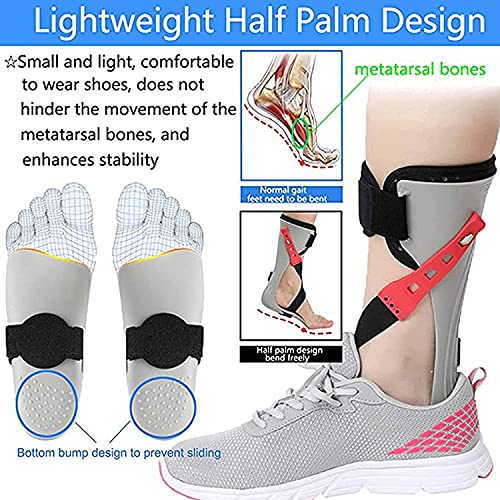 Ortesis de pie Caído, Ortesis de pie Caído Ajustable, Ortesis de pie Y Tobillo AFO Corrección Postural, Férula Nocturna, Estabilizador de pie Ortesis Parálisis Flácida pie Caído Right Foot,XL