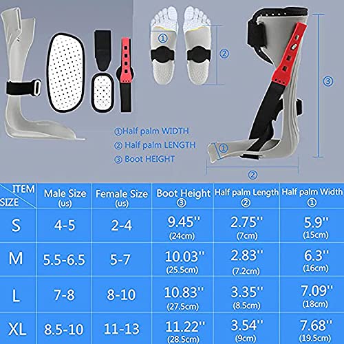 Ortesis de pie Caído, Ortesis de pie Caído Ajustable, Ortesis de pie Y Tobillo AFO Corrección Postural, Férula Nocturna, Estabilizador de pie Ortesis Parálisis Flácida pie Caído Right Foot,XL