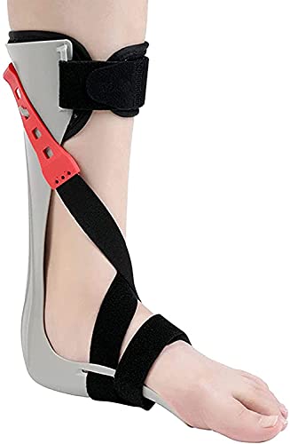 Ortesis de pie Caído, Ortesis de pie Caído Ajustable, Ortesis de pie Y Tobillo AFO Corrección Postural, Férula Nocturna, Estabilizador de pie Ortesis Parálisis Flácida pie Caído Right Foot,XL
