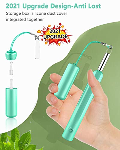 Otoscopio Digital Wifi, OVIFM HD 1080P Mini Endoscopio con 6 Luces LED, Camara Endoscopica, Endoscopio Oido para Android/Iphone, IP67 Cinturón Impermeable con 8 Kit de Eliminación de Cerumen-Verde