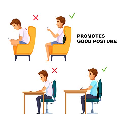 PHILORN Cojin Lumbar Coche, Respaldo Lumbar Ergonómico para Silla Oficina, Apoyo Almohada Lumbar de Espuma Memoria Suave, Reducir el Dolor de Espalda