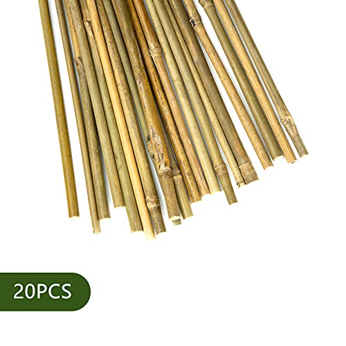 Pllieay Estacas de bambú Gruesas Naturales Estacas de jardín Bastones de bambú para Soporte de Plantas, 30CM