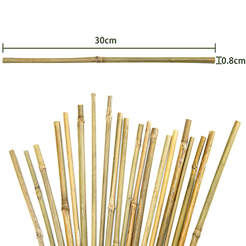 Pllieay Estacas de bambú Gruesas Naturales Estacas de jardín Bastones de bambú para Soporte de Plantas, 30CM