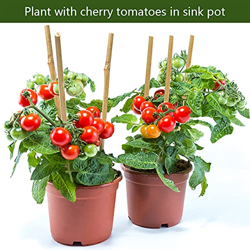 Pllieay Estacas de bambú Gruesas Naturales Estacas de jardín Bastones de bambú para Soporte de Plantas, 30CM