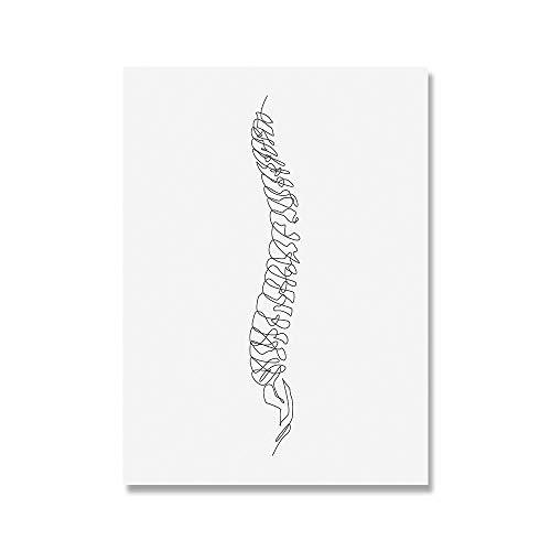 Póster de la columna vertebral de las vértebras abstractas dibujo impresión quiropráctica arte médico lienzo pintura anatomía pared decoración sala de estar 28 x 40 pulgadas x2 sin marco