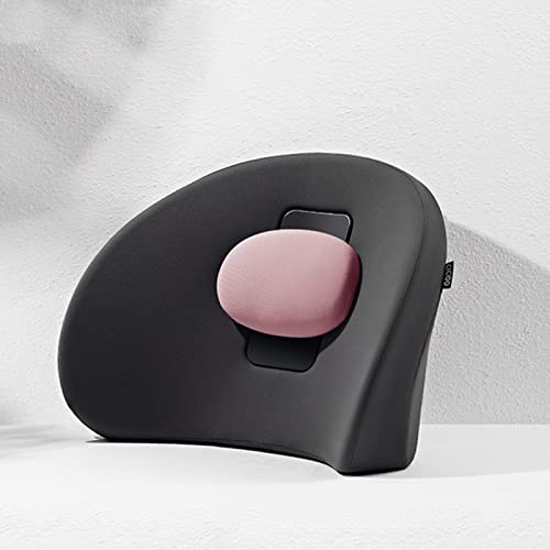 PPBB Almohada de Soporte Lumbar Cojín de Espuma viscoelástica, Almohada ergonómica Ajustable para el Dolor de Espalda para Silla de Oficina, Asiento de automóvil, Silla de Oficina y hogar,Rosado