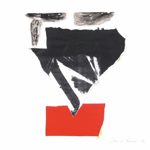 Siglo Gray Vision
