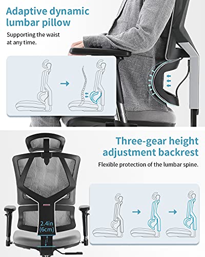 SIHOO Silla Oficina de Ergonómica, Silla de Oficina Ergonómica Silla de Oficina con Respaldo Alto y Respaldo Ajustable en Altura,Reposabrazos 3D,Soporte Lumbar,Silla de Ordenador de Malla(Gris)