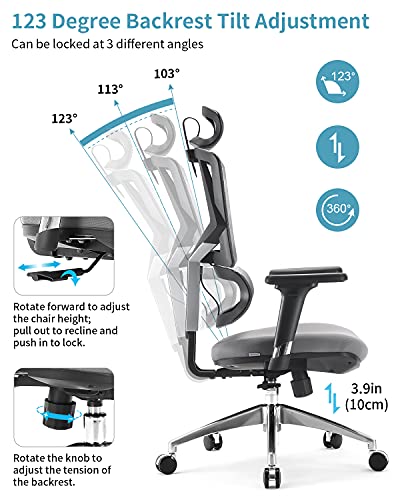 SIHOO Silla Oficina de Ergonómica, Silla de Oficina Ergonómica Silla de Oficina con Respaldo Alto y Respaldo Ajustable en Altura,Reposabrazos 3D,Soporte Lumbar,Silla de Ordenador de Malla(Gris)
