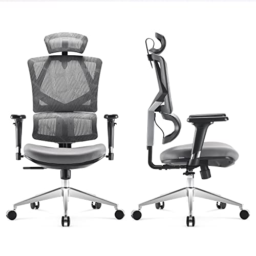 SIHOO Silla Oficina de Ergonómica, Silla de Oficina Ergonómica Silla de Oficina con Respaldo Alto y Respaldo Ajustable en Altura,Reposabrazos 3D,Soporte Lumbar,Silla de Ordenador de Malla(Gris)