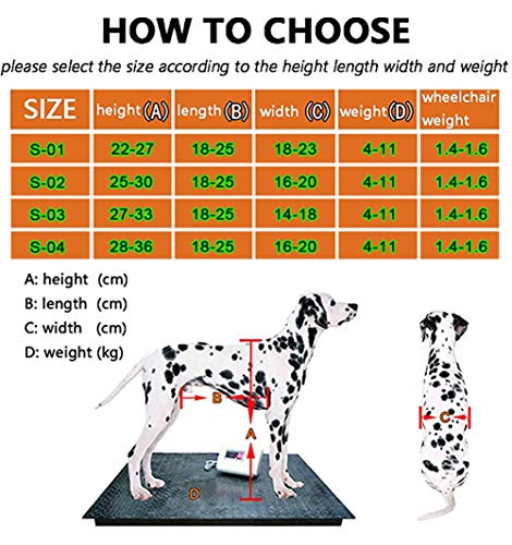 Silla De Ruedas para Perros, Ajustables para Mascotas Silla De Ruedas Ligera Fácil Ensamble Carrito para Rehabilitación De Piernas para Perros Pequeños con Minusvalía (2 Ruedas) (S)
