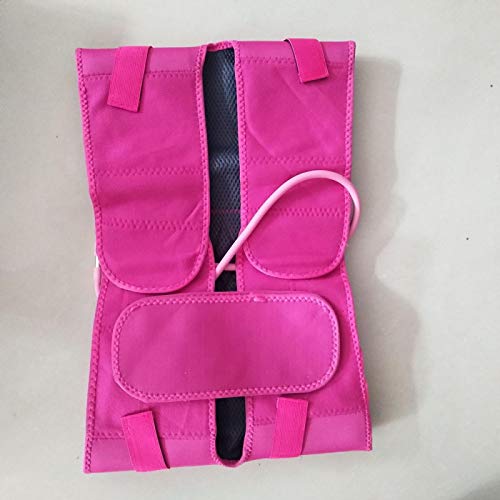 Soporte De Espalda Cinturón De Pelvis Inflable Fajas Reductoras Y Moldeadoras Mujeres Adelgazantes Recuperación Posnatal Levantador De Glúteos Body Shaper Rosecolor