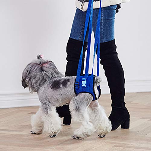 Soporte para perros de mascotas, arnés de elevación trasera, soporte para caderas y patas traseras para perros discapacitados, perros viejos con problemas de rodilla y mala estabilidad (S)