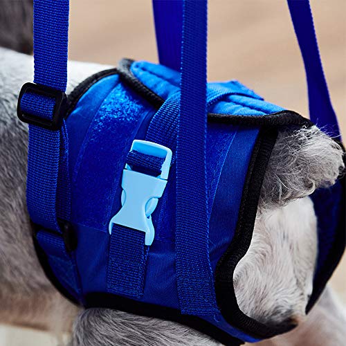 Soporte para perros de mascotas, arnés de elevación trasera, soporte para caderas y patas traseras para perros discapacitados, perros viejos con problemas de rodilla y mala estabilidad (S)