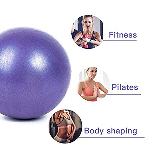 SWINILAYA Pelota de Ejercicios de Yoga y Pilates de 9,8 Pulgadas para Entrenamiento de Equilibrio de Estabilidad para Entrenamiento de núcleo, Fisioterapia, Mejora el Equilibrio
