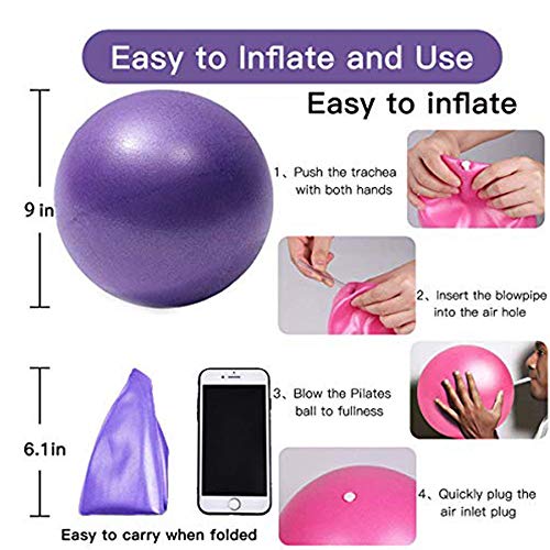 SWINILAYA Pelota de Ejercicios de Yoga y Pilates de 9,8 Pulgadas para Entrenamiento de Equilibrio de Estabilidad para Entrenamiento de núcleo, Fisioterapia, Mejora el Equilibrio